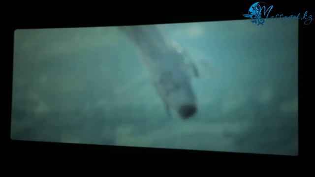 Алғашқылар дәуірі фильмінің тұсаукесері