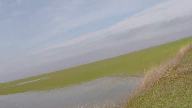 Охота на Зайца на Кубани 2023-2024г, смотреть онлайн