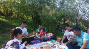 Кабагынды гулго тенейм жаздагы Зулпукар Акимбаев