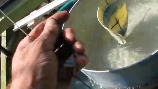 "Fish Friendly" gravitational vortex power demo has big surprises! смотреть онлайн