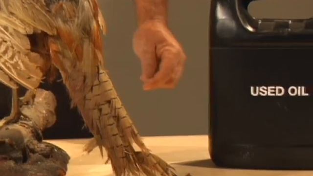 Innovative technology absorbing hydrocarbons (e.g. oil) at 77-82 times its weight смотреть онлайн