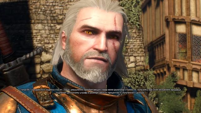 The Witcher 3: Wild Hunt:Задание Законопослушный Налогоплательщик на сложности На смерть смотреть онлайн