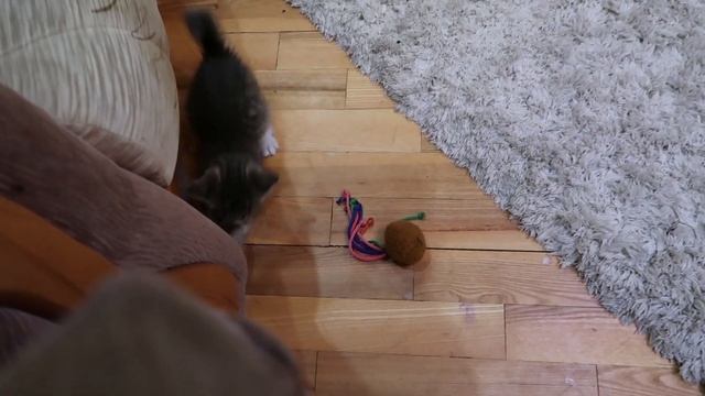 VLOG Я была в шоке когда проснулась смотреть онлайн