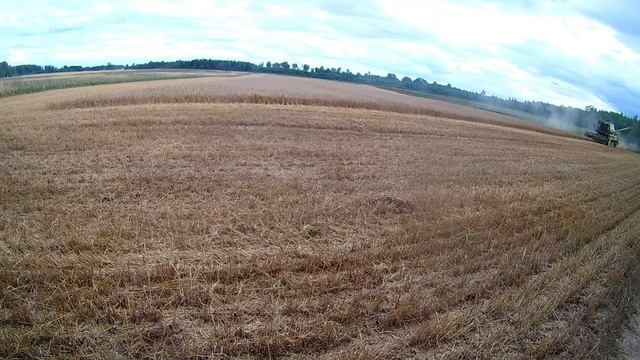 Harvesting wheat with Fortschritt E 514 | 2021 смотреть онлайн