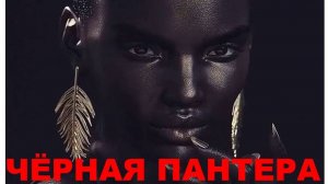 ЧЕРНАЯ ПАНТЕРА