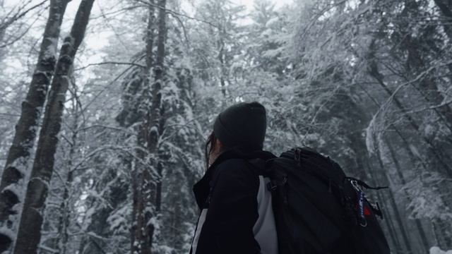 A Winter Road Trip in the DOLOMITES Cinematic Short Film смотреть онлайн