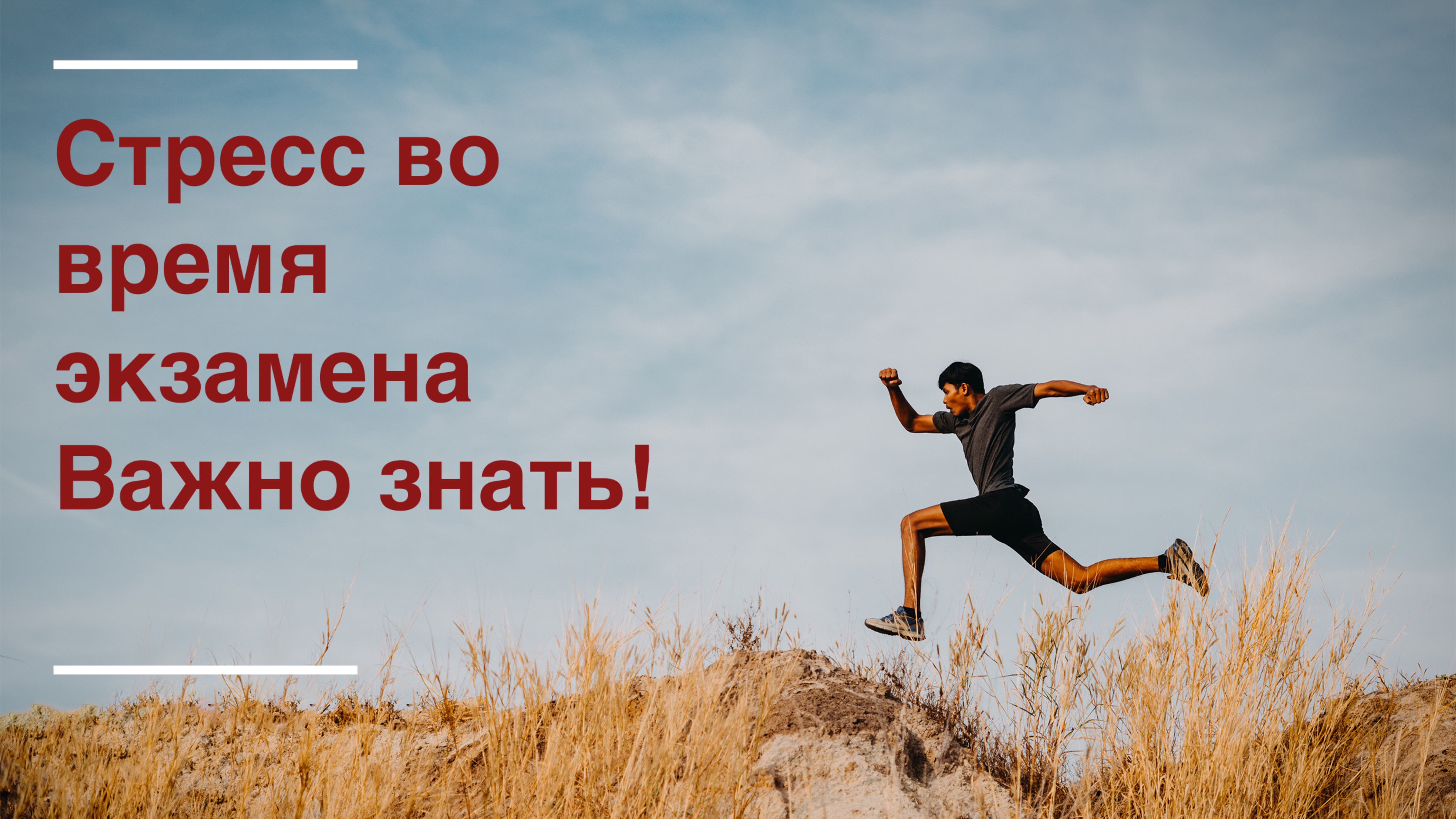 Старшеклассникам: как готовиться к экзаменам и снизить уровень экзаменационного стресса
