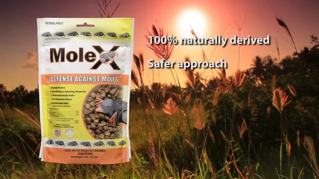 MoleX смотреть онлайн