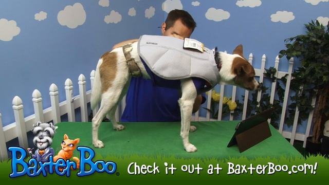 Swamp Cooler Dog Cooling Vest by RuffWear   Graphite Gray смотреть онлайн