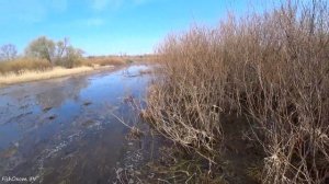 ОХОТА НА СЕЛЕЗНЯ! ВЕСНА! СТРЕЛЯЮ ДЫМАРЕМ! Охота на утку с чучелами и манком из скрадка.
