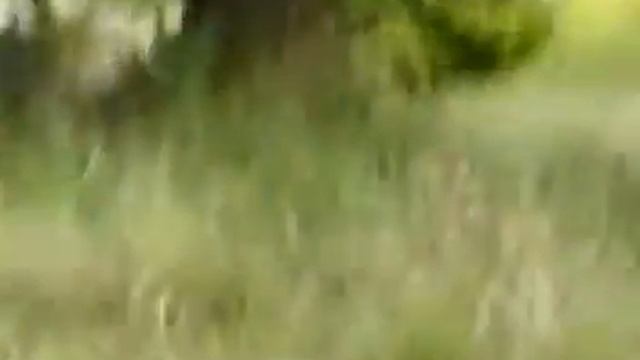 med pit 17 смотреть онлайн