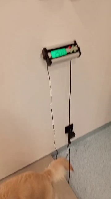 Kulfi went to check her weight смотреть онлайн