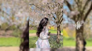 "АМИНА" - Красивая Лезгинская песня. 👑 ХИТ СЕЗОНА 2024. 🔥▶️ AMİNA