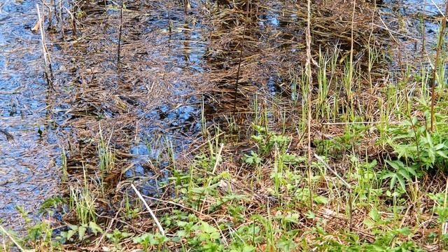 Нурлы күл смотреть онлайн