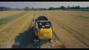 Wheat Harvest 2018 - New Holland CX 7.90 | Harvesting Wheat | 4K