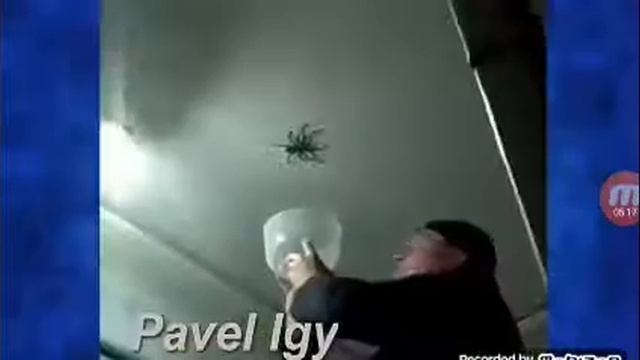 Тест на психику попробуй не засмеялся смотреть онлайн