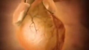 после этого вы 100% бросите курить!