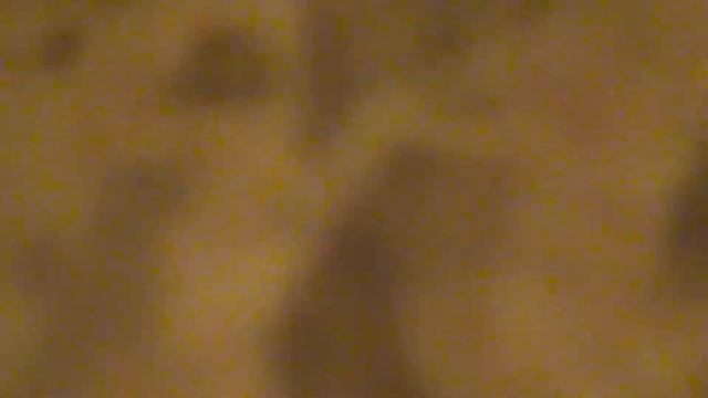 Экскурсия по Питеру 1 смотреть онлайн