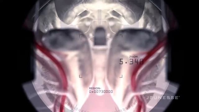 Система правильного похудения ZEN от Jeunesse