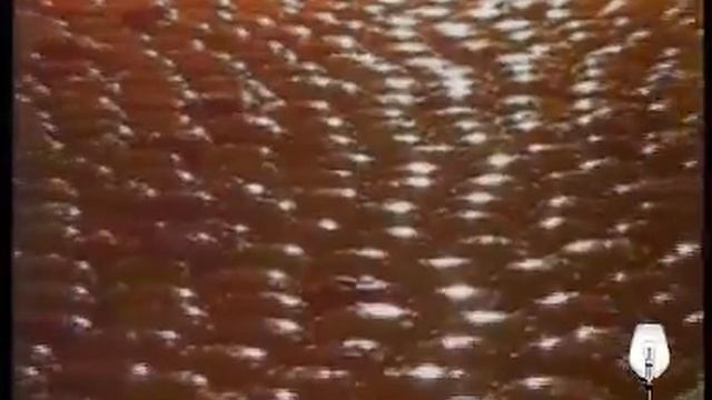 Vita 98 смотреть онлайн