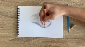 Как нарисовать мышку карандашом | Рисунок для начинающих поэтапно