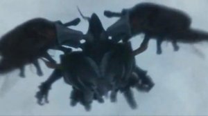 Megaherz - Herz aus Stein