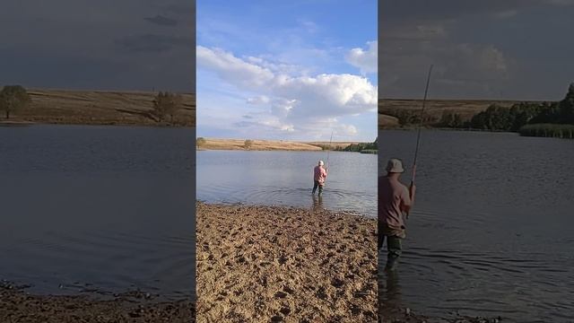 Рыбалка.Толстолобик на 15 кг. смотреть онлайн