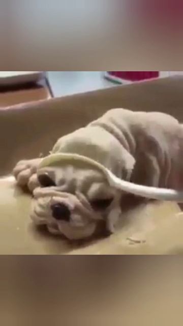 Просто видео смотреть онлайн