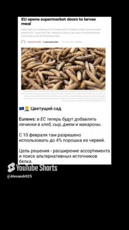 Не ешьте продукты из ЕС🤮