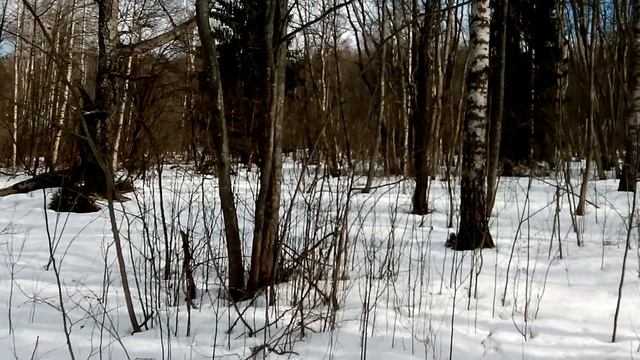 Тот же день, 22 марта, через 10 минут смотреть онлайн