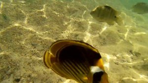 Marsa Alam Three Corners Sea Beach