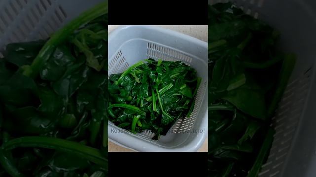 ВКУСНЕЙШИЙ КОРЕЙСКИЙ САЛАТ ИЗ РОСТКОВ МАША И ШПИНАТА ✔️ПРОСТОЙ, ПОШАГОВЫЙ РЕЦЕПТ