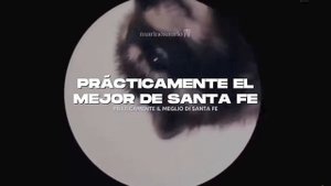 педро педро pedro енот в кружке тансует