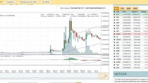 Bytecoin (BCN). Собираем или покупаем и ждём... Есть ли перспектива?