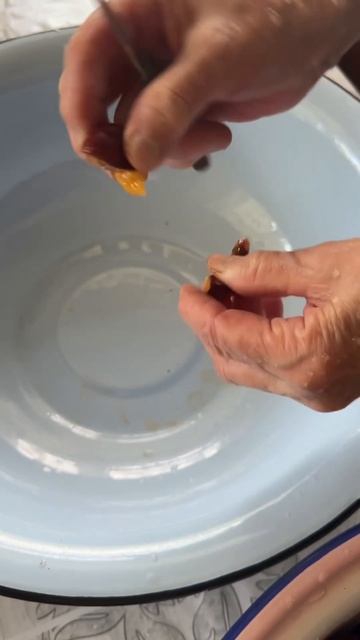 Повидло из сливы) #рецепты #вкусно #еда #кулинария #простыерецепты смотреть онлайн