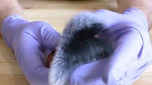 Yaqi Tuxedo R151111 S1 28