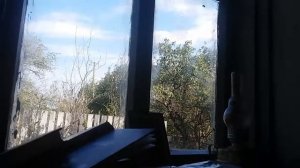 Жирная муха безнадежности билась о стекло.