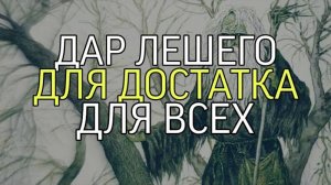 ДАР ЛЕШЕГО...ДЛЯ ДОСТАТКА...ДЛЯ ВСЕХ...