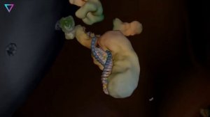 ▽ Клонирование. Что такое клонирование