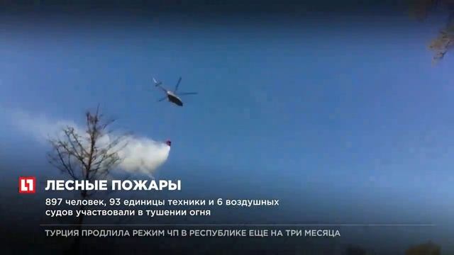 На Дальнем Востоке за сутки сгорело около 2,4 тысяч гектаров леса смотреть онлайн