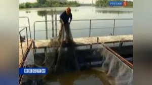 Аномальная жара в Москве в 2010 год