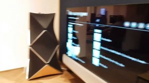 Bang & Olufsen BeoLab 90, prise of 82000$