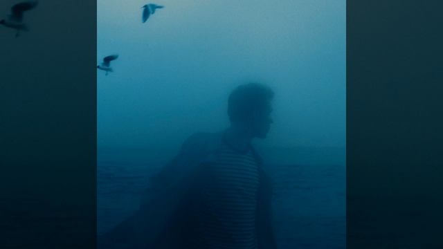 Precipitation смотреть онлайн