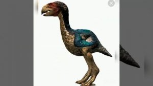гигантские хищные вымершие #птицы#древние#