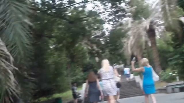 Дендрариум в городе Сочи. смотреть онлайн