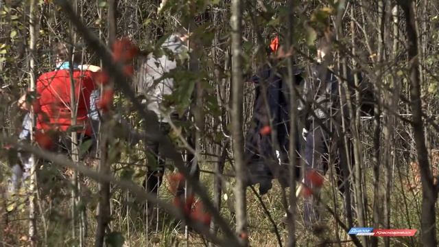 Жители Красноармейска посадили деревья смотреть онлайн