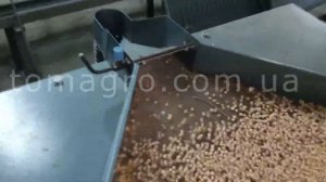 Камнеотборник КМ-500 (Destoner machine). Продукт испытания: круглый горох.