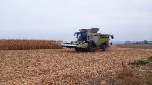 CLAAS LEXION 8700TT 🌽 CORN HARVEST 2023