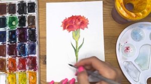 Как нарисовать гвоздику карандашом и акварелью начинающим | Рисунок поэтапно и легко для детей