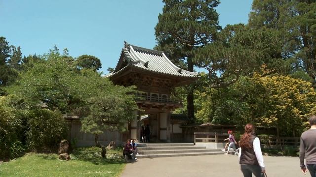 От Ростова на Дону до Адлера за 1 час смотреть онлайн